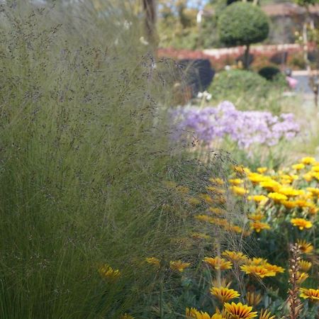 Les Jardins De Santa Giulia - Charmante chambre d'hôte Porto-Vecchio  Extérieur photo